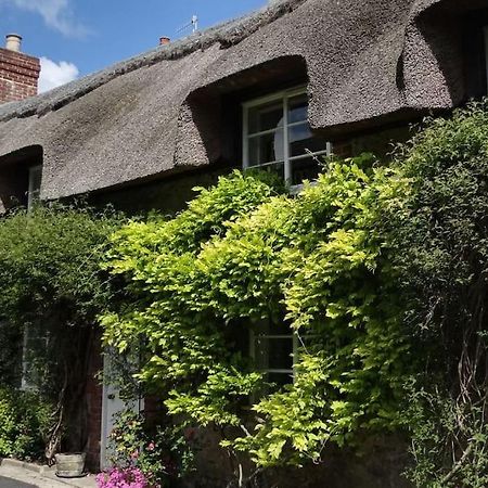 Little Thatch Cottage - Cerne Abbas, Dorset Экстерьер фото