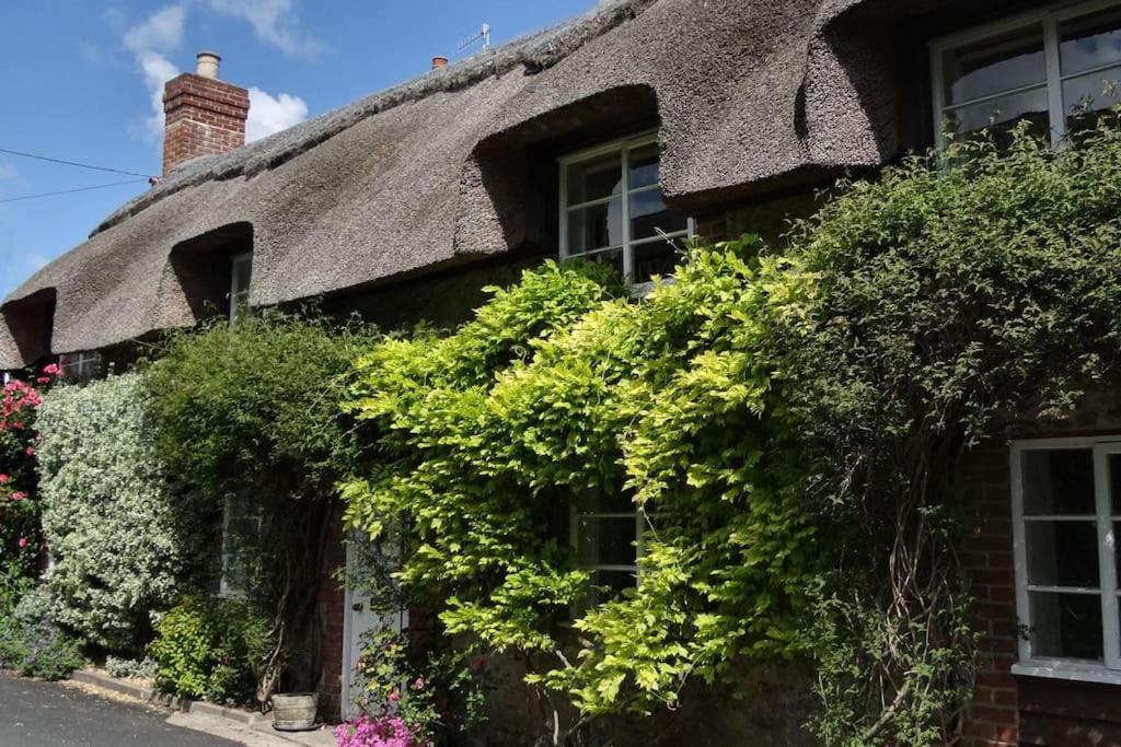 Little Thatch Cottage - Cerne Abbas, Dorset Экстерьер фото